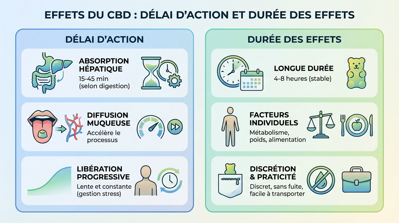Graphique comparatif des délais d'action et durée des effets du CBD selon le mode d'administration