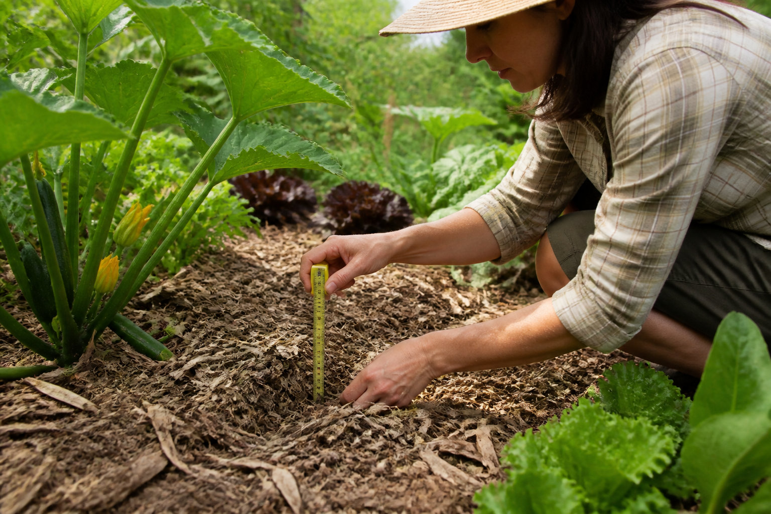 Comment réussir la mise en place de votre paillage ? 🧤