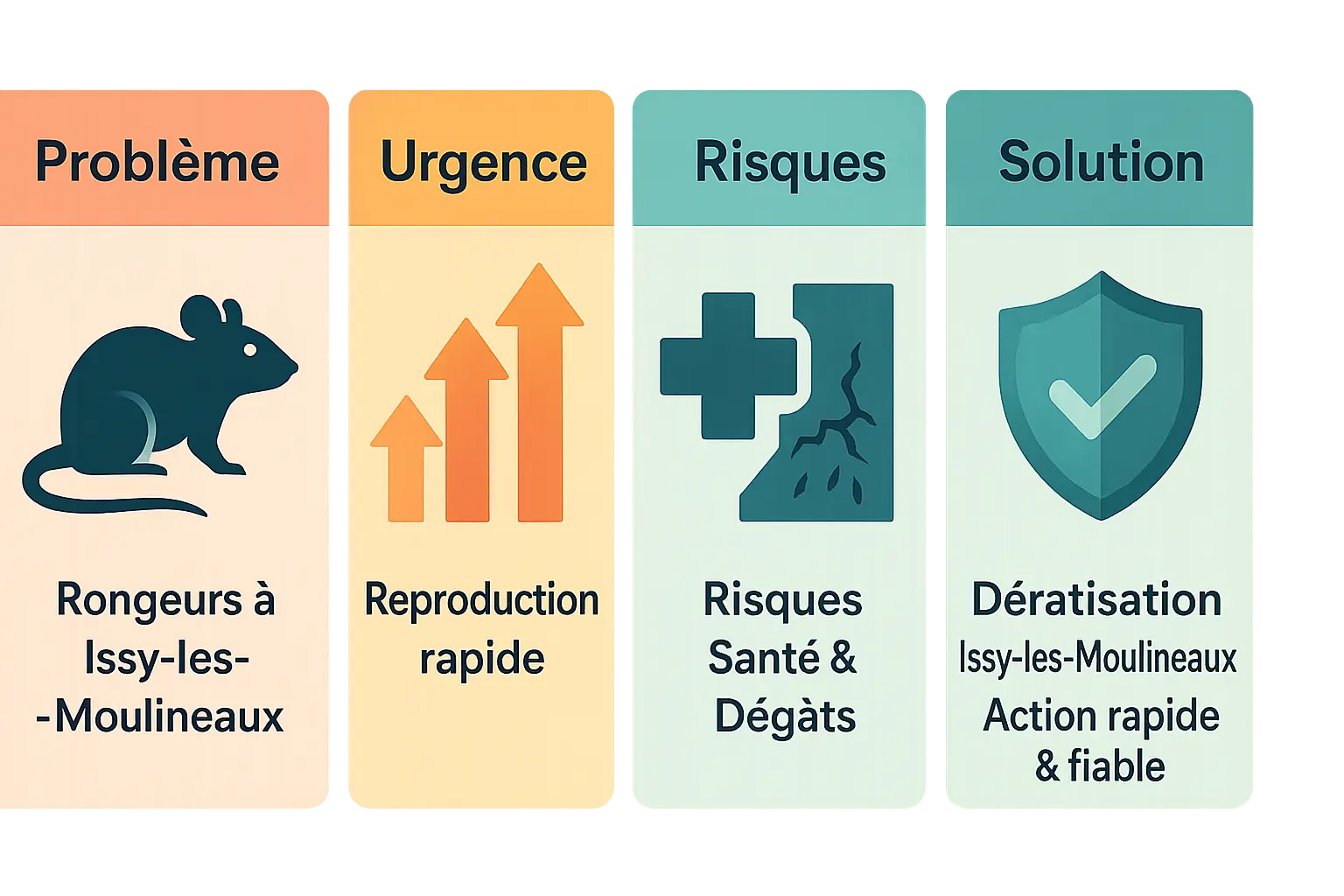 Illustration d'une infographie sur les rongeurs à Issy-les-Moulineaux
