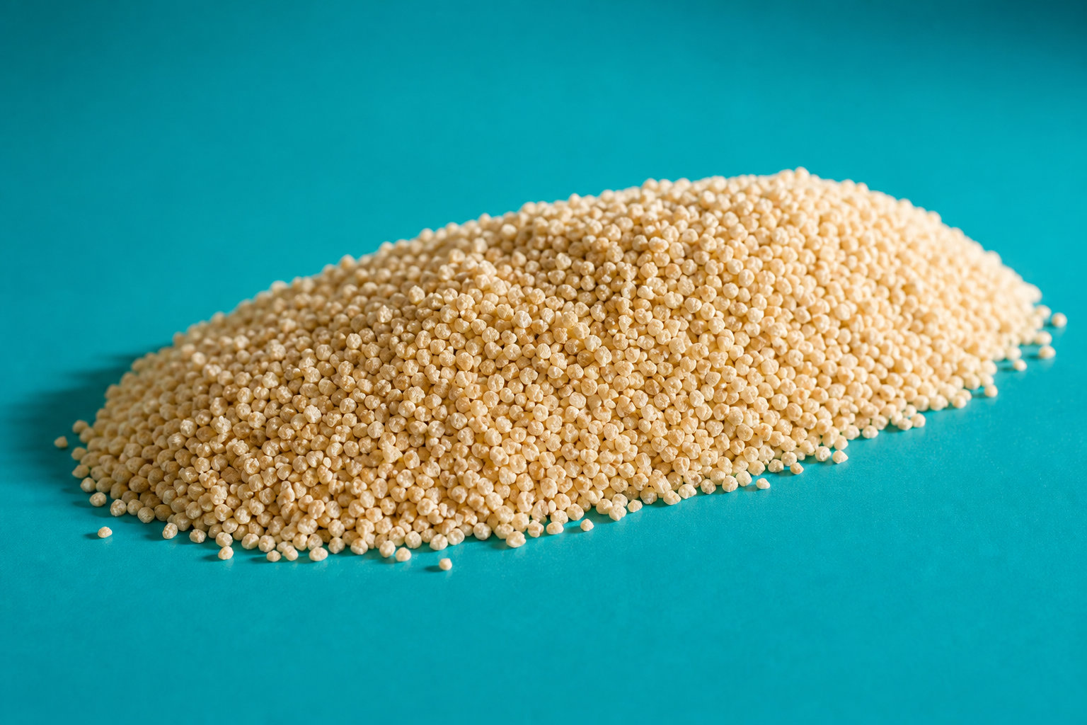 Ail semoule bio d'Égypte pour vos mélanges de charcuterie