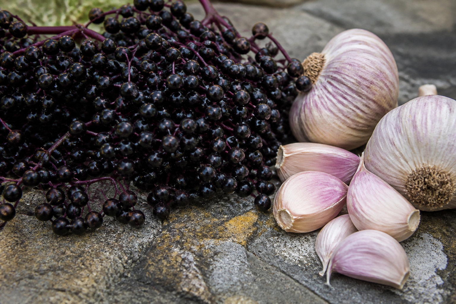 Evidence-Based Botanicals and Daily Integration