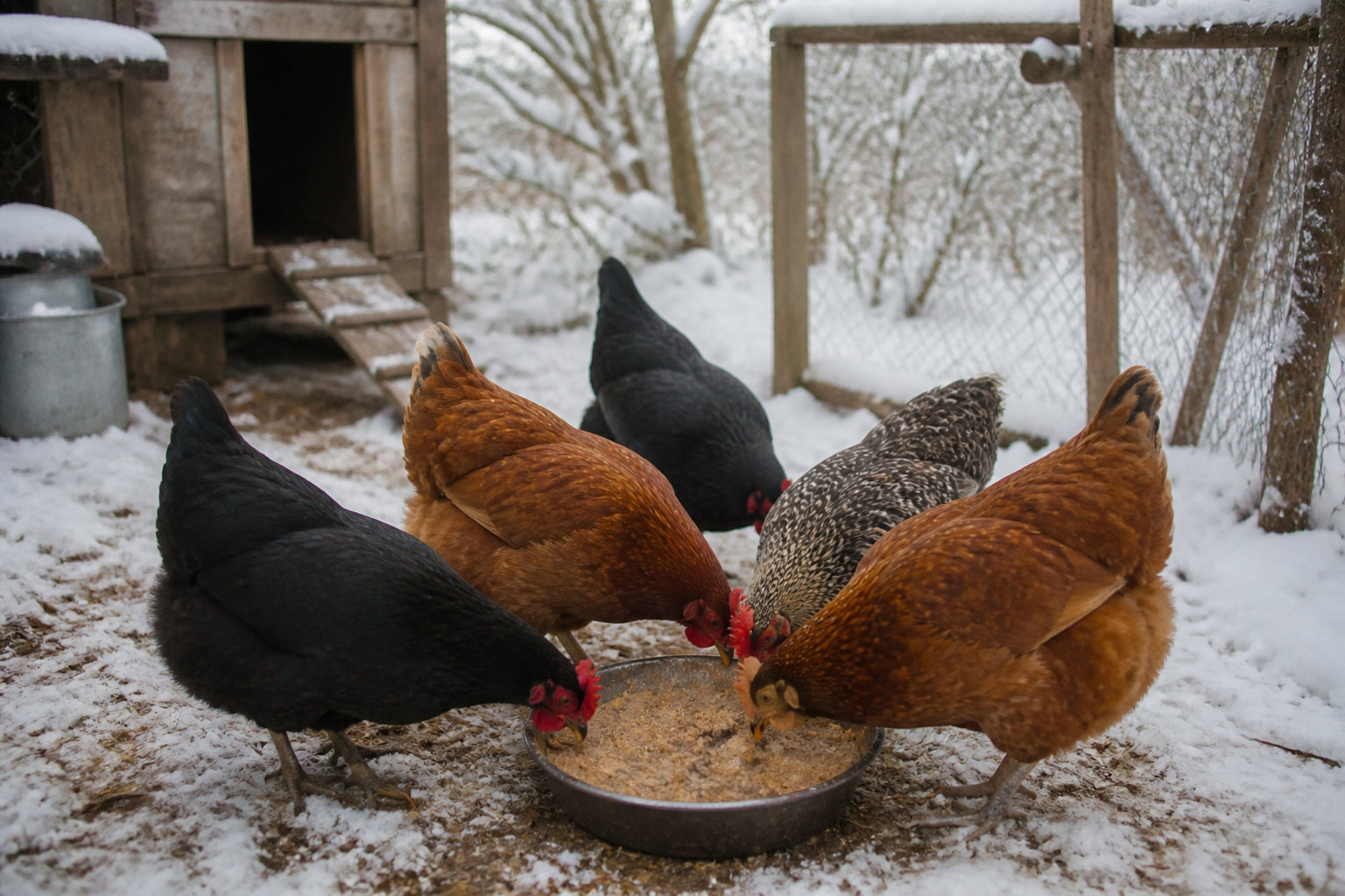 Adaptation saisonnière de l'alimentation