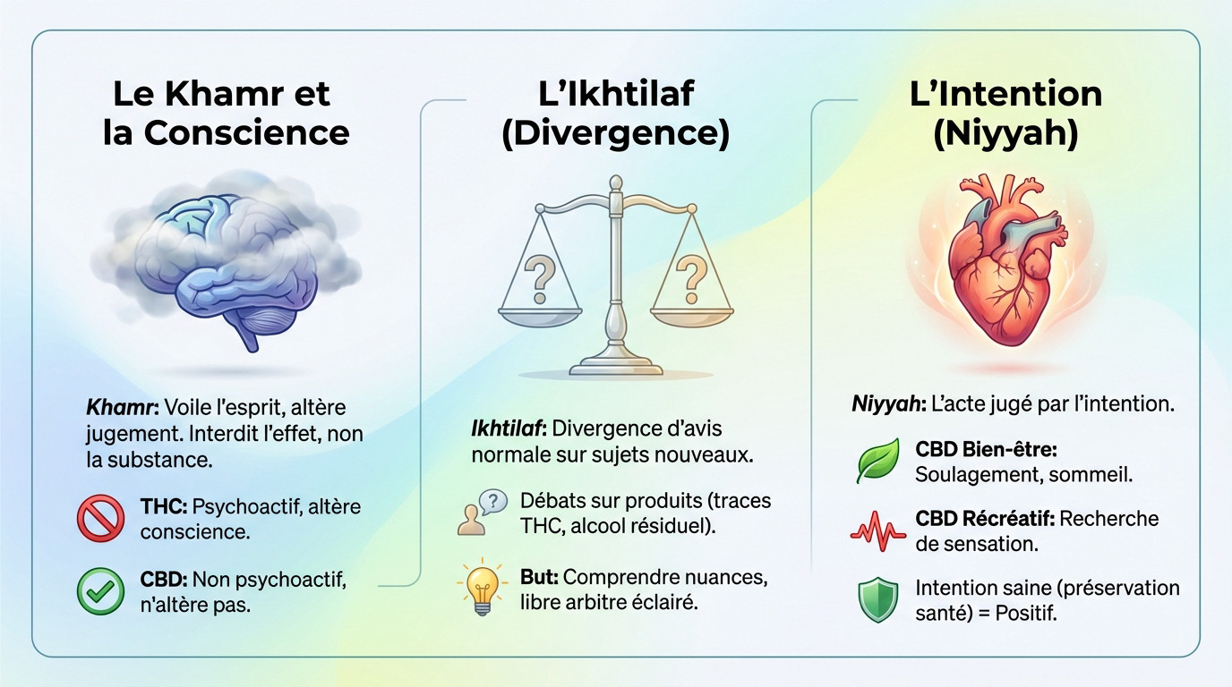 Analyse des substances en islam : divergence, intention et conscience