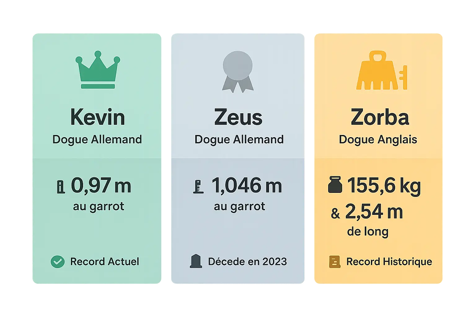 Comparaison des chiens record