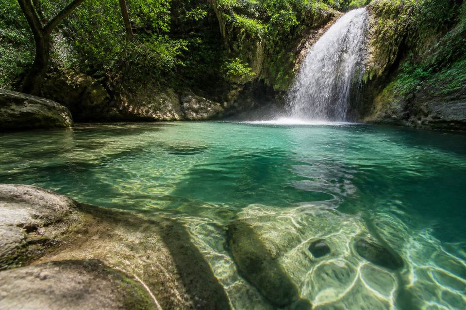 Vivre l'immersion aquatique