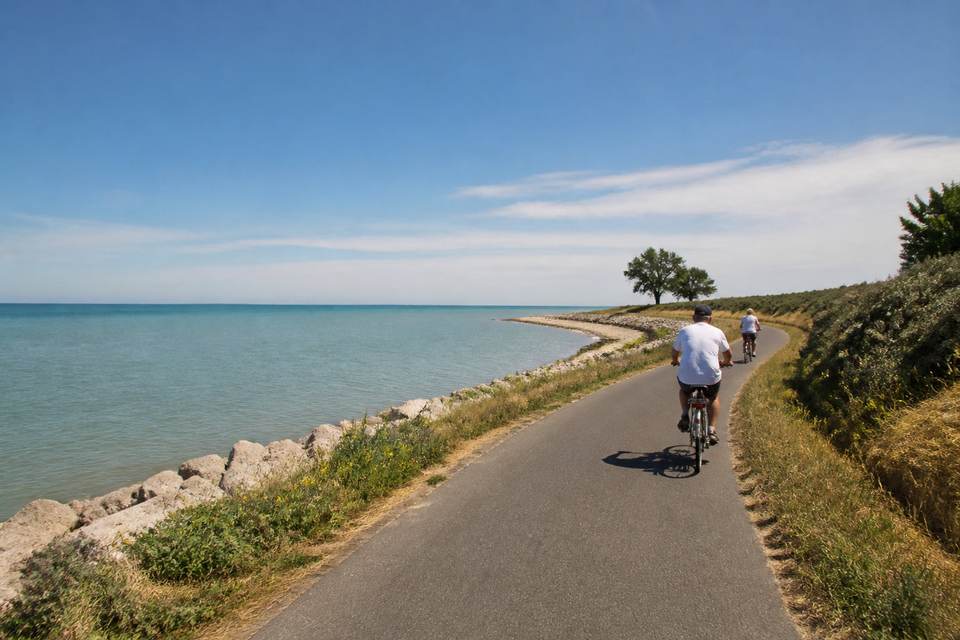 Réseau cyclable et gestion des déplacements à vélo
