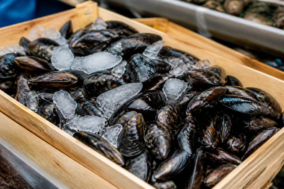 Comment reconnaître une moule fraîche sur l'étal ?