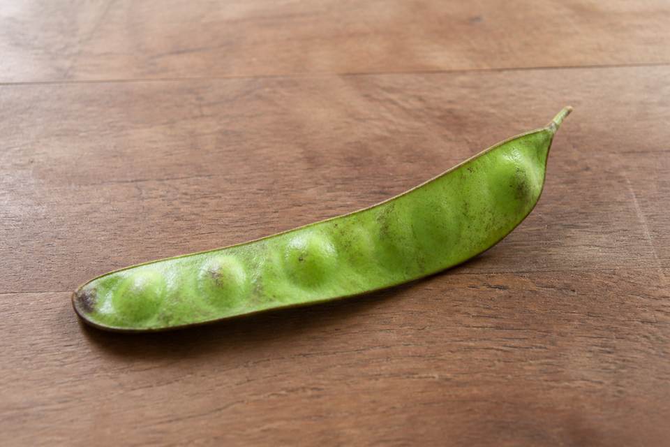 4 fruits exotiques rares à connaître
