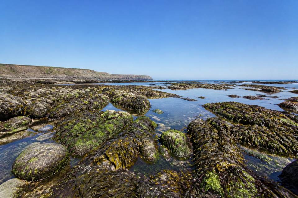 Précautions de sécurité pour la pêche à pied et la baignade
