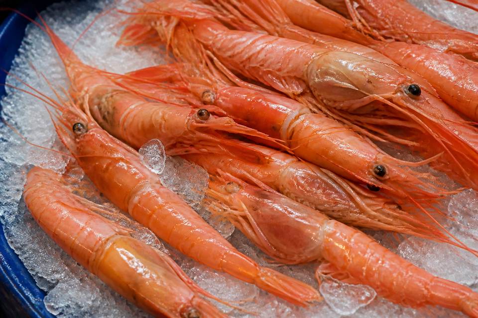 Le secret du fumet de crustacés fait maison 🥘