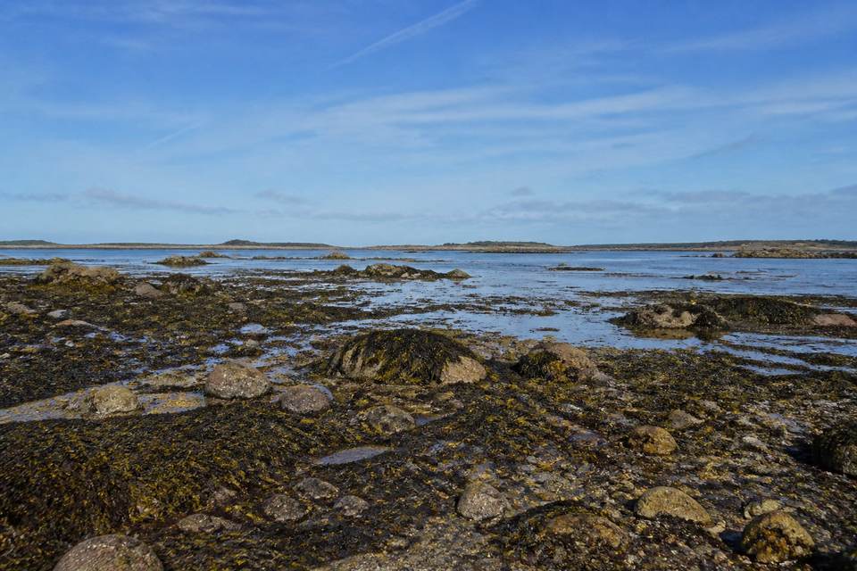 Vivre au rythme des marées et de la nature