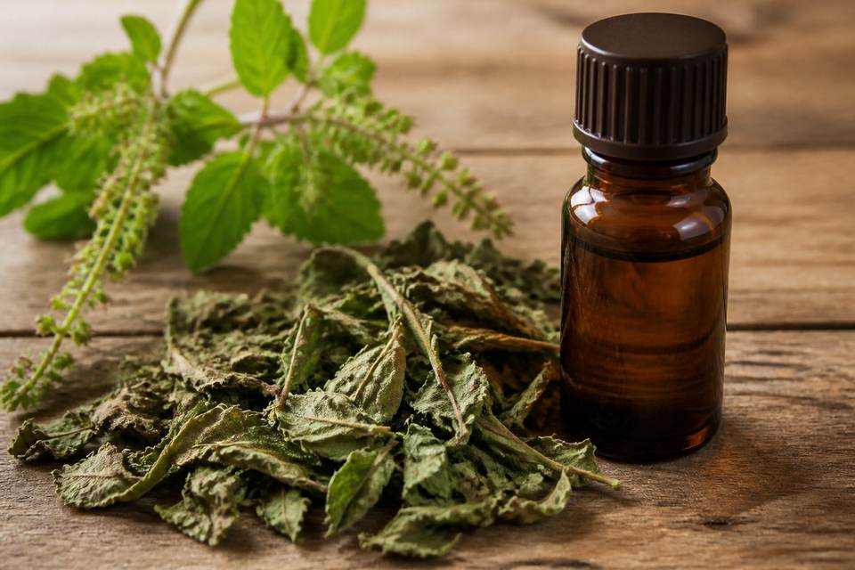 3 composés actifs qui expliquent son efficacité