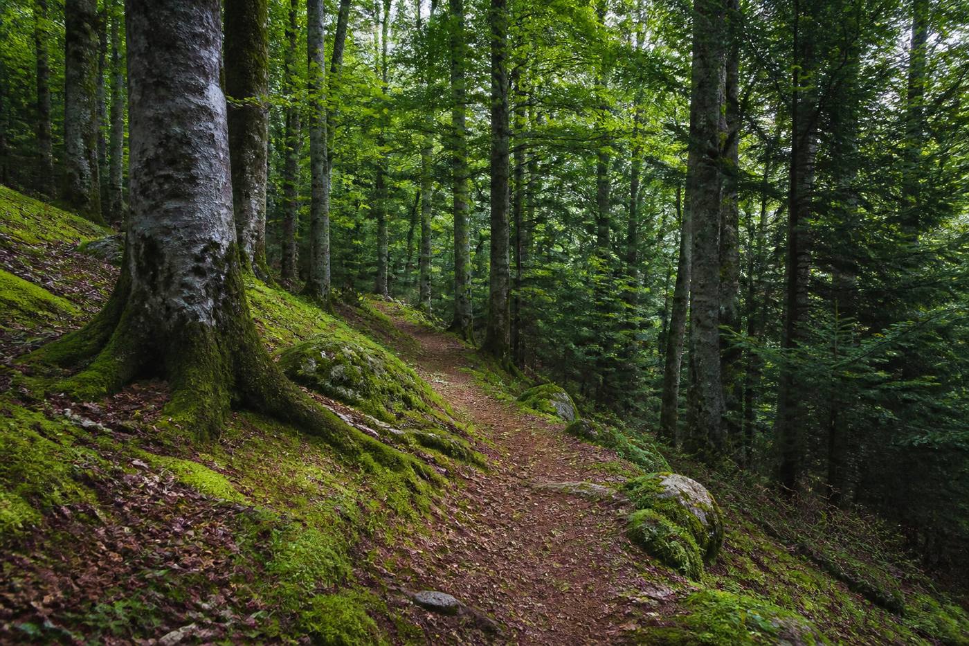 Rejoindre le pied de la chute
