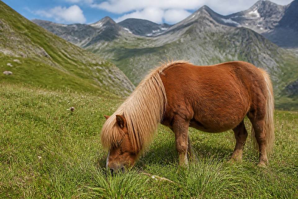 Facteurs de longévité : analyser les signes du vieillissement naturel