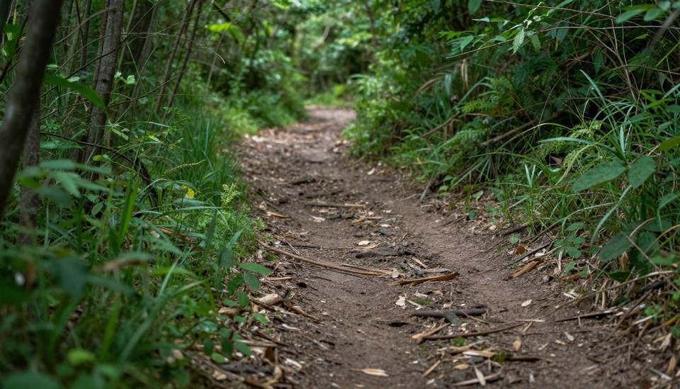 Comment préparer votre sortie sans mauvaise surprise ?