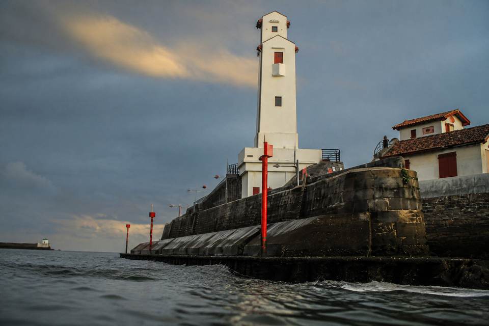Modalités d'accès et observation depuis le sentier du littoral