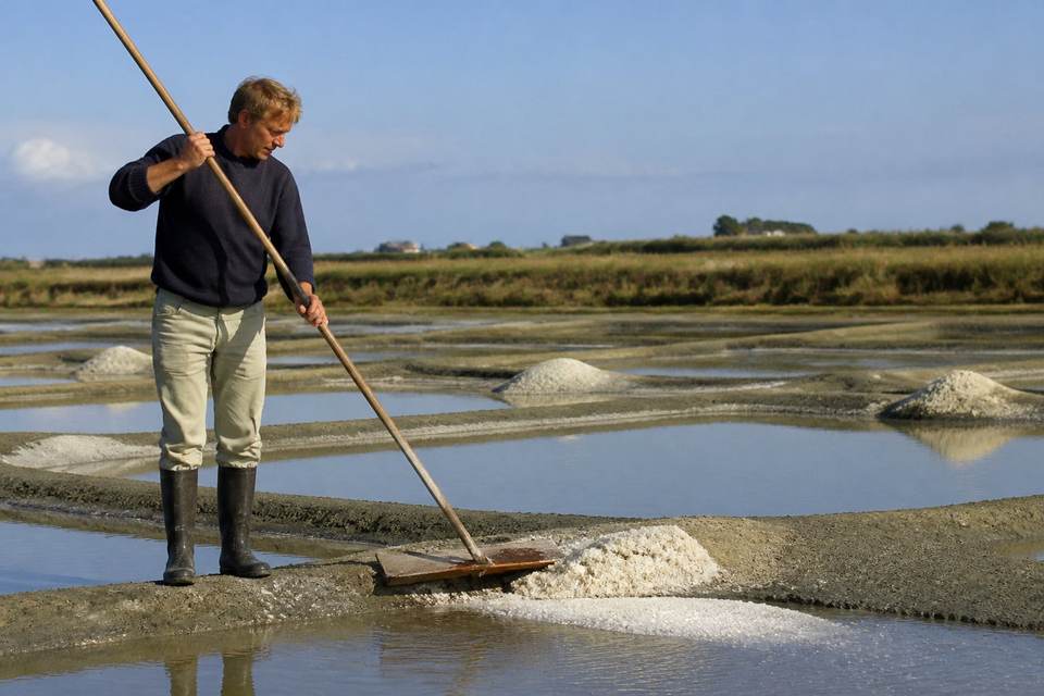 Explorer les marais salants et le savoir-faire des paludiers