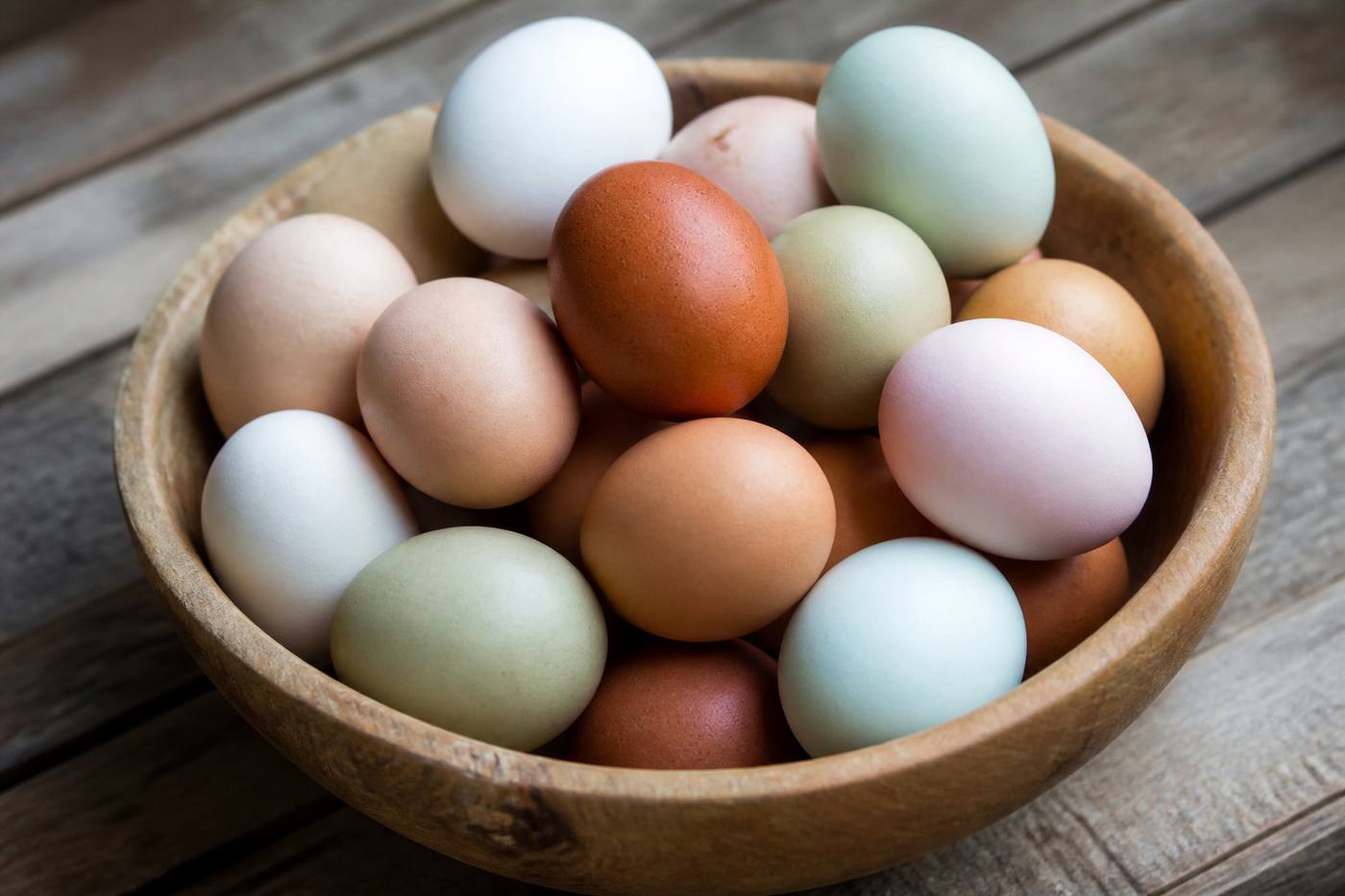 2 pigments et gènes : les causes des variations de teintes