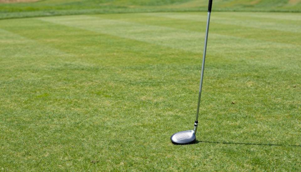 Quel profil de golfeur pour le shaft S300 ?