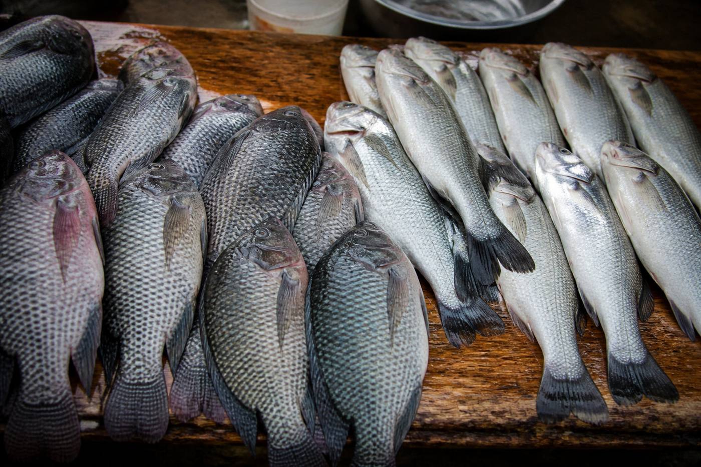 Sélection des ingrédients et secret de la marinade verte