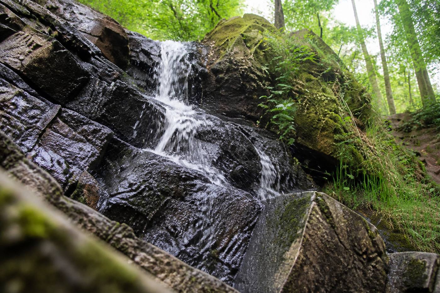 N° 01 : Anticiper la durée de votre visite en forêt de Brocéliande
