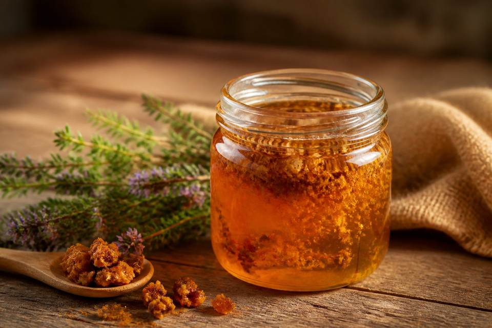 L'apiculture douce pour préserver les actifs de la ruche ✨